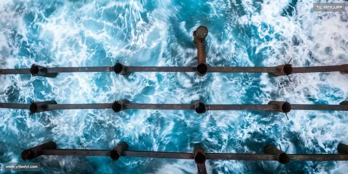 米兰官网体育是信仰,汗水是勋章,拼搏就是答案!🏅